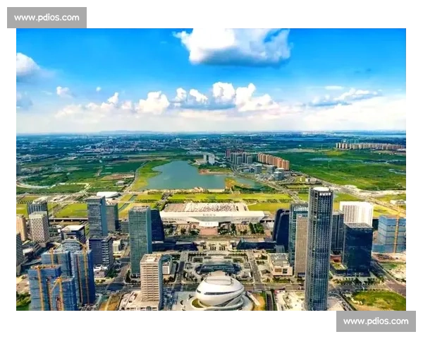 城市经济高质量发展路径与区域协同创新驱动的新格局探索