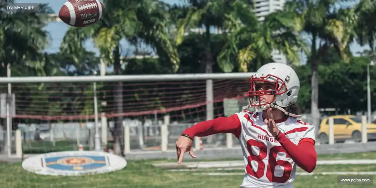 行业领先的理由